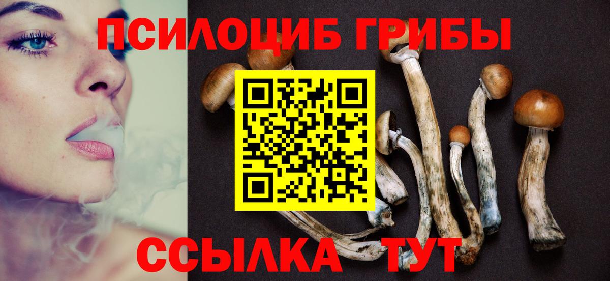Галлюциногенные грибы Psilocybine cubensis Холмск